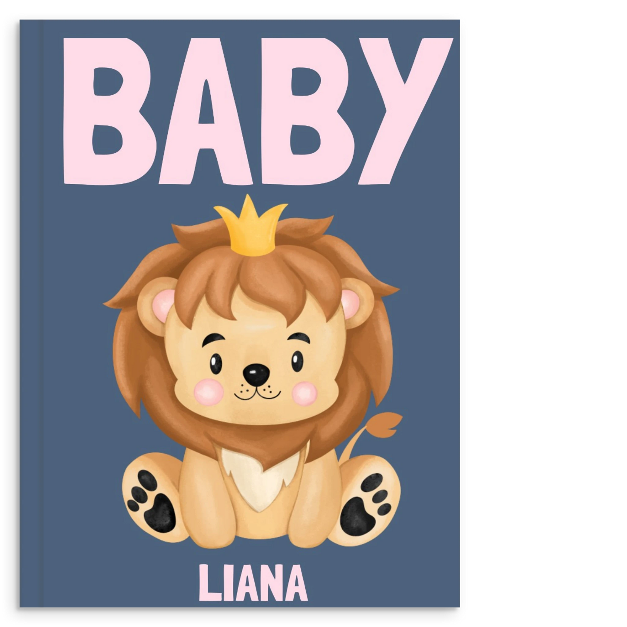 4fec37ce-10d7-411d-9409-fc52005a5a17